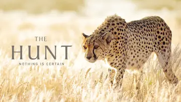 Задник к сериалу "The Hunt" #1800904