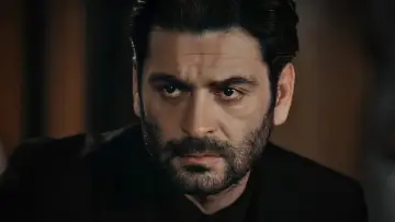 Задник к сериалу "Мафия не может править миром" #1357786