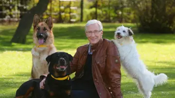 Задник к сериалу "For the Love of Dogs" #1668434
