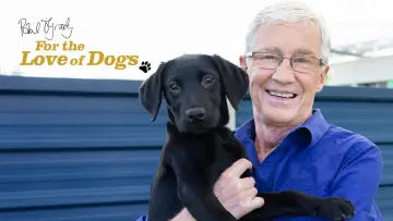 Задник к сериалу "For the Love of Dogs" #1668437
