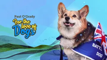 Задник к сериалу "For the Love of Dogs" #1668439
