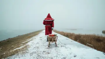 Задник к сериалу "Nord bei Nordwest" #1476127