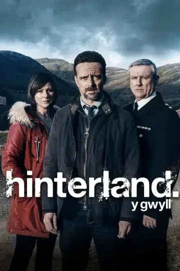 Y Gwyll постер