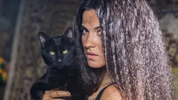 Задник к сериалу "Кошка" #1849675
