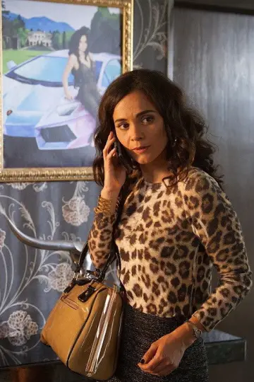 Постер к сериалу "Королева юга" #1367821