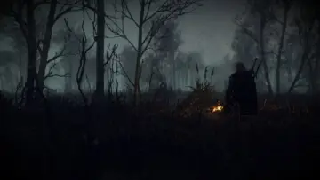 Задник к сериалу "Ведьмак" #1841704
