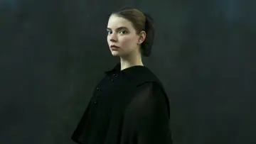 Задник к сериалу "Миниатюрист" #1466514