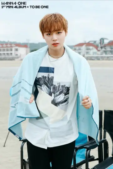 Постер к сериалу "Wanna One GO" #1804030