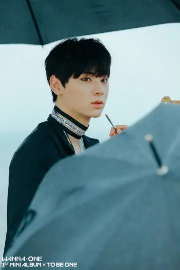 Постер к сериалу "Wanna One GO" #1804033