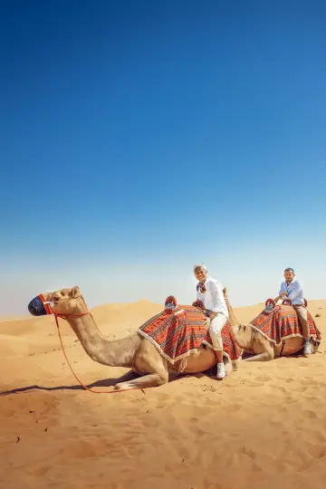 Постер к сериалу "Amazing Hotels: Life Beyond the Lobby" #1771476
