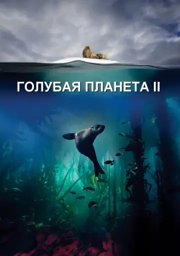 Постер к сериалу "Голубая планета 2" #1454222
