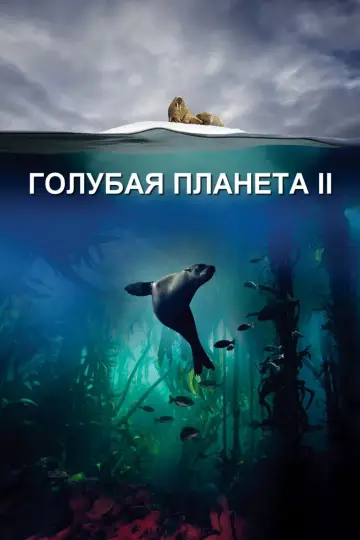 Постер к сериалу "Голубая планета 2" #1761807