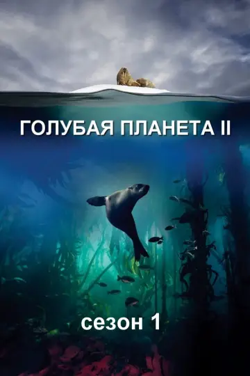 Постер к сериалу "Голубая планета 2" #1761808