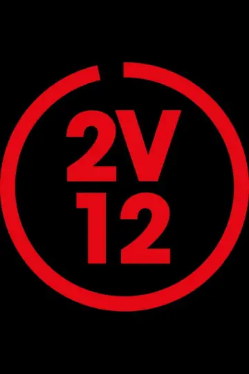 2 voor 12 постер
