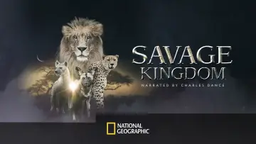 Задник к сериалу "Дикое королевство" #1822561
