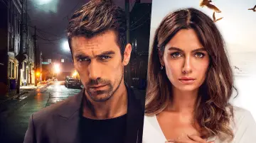 Задник к сериалу "Чёрно-белая любовь" #1597348