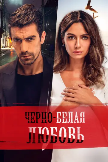Чёрно-белая любовь постер