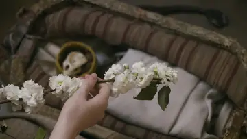 Задник к сериалу "Энн" #1327453
