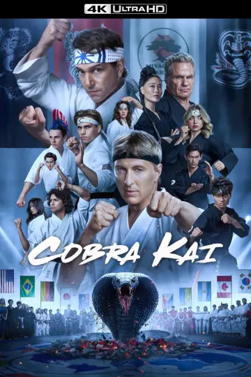 Постер к сериалу "Кобра Кай" #1292521
