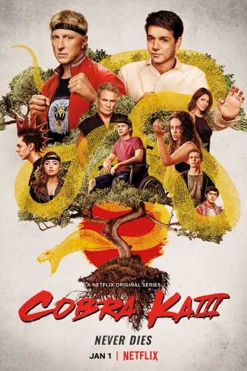 Постер к сериалу "Кобра Кай" #1614585
