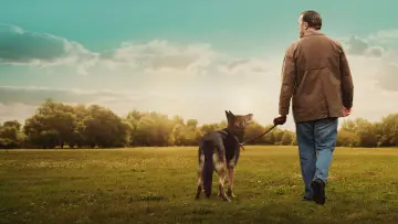 Задник к сериалу "Следом за жизнью" #1450720