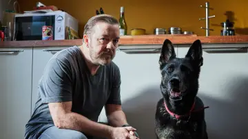 Задник к сериалу "Следом за жизнью" #1450723