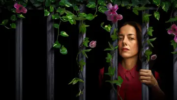 Задник к сериалу "Дом цветов" #1449087