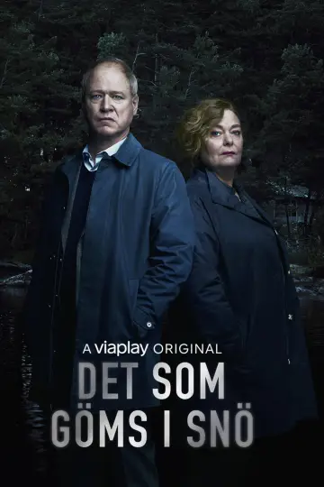 Постер к сериалу "Что спрятано в снегу" #1847775