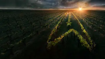 Задник к сериалу "Звёздный путь: Пикар" #1319332