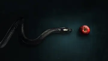 Задник к сериалу "Зло" #1321498