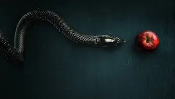 Задник к сериалу "Зло" #1321517