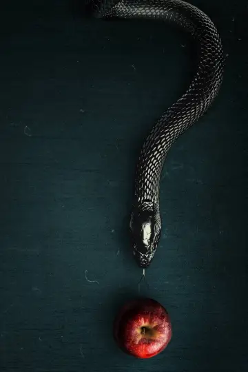 Постер к сериалу "Зло" #1321580