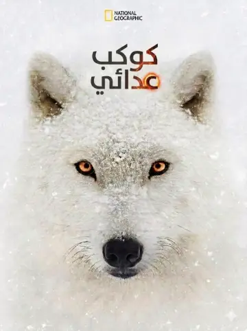 Постер к сериалу "Враждебная планета" #1868197