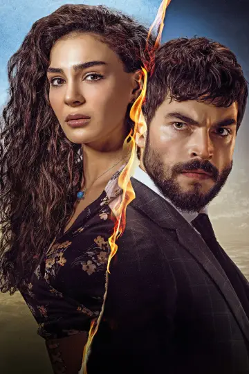 Постер к сериалу "Ветреный" #1377775