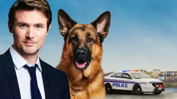 Задник к сериалу "Хадсон и Рекс" #1299452