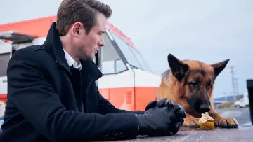 Задник к сериалу "Хадсон и Рекс" #1299468