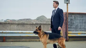 Задник к сериалу "Хадсон и Рекс" #1299472