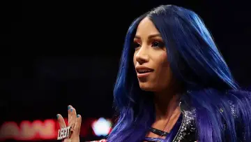 Задник к сериалу "Хроники WWE" #1595766