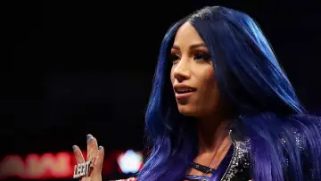 Задник к сериалу "Хроники WWE" #1595768