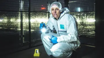 Задник к сериалу "Криминалистика: Настоящий CSI" #1555912