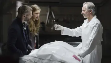 Задник к сериалу "Пришельцы из прошлого" #1463369