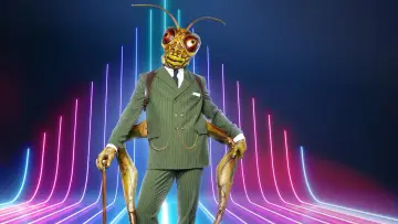 Задник к сериалу "The Masked Singer" #1654718
