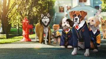 Задник к сериалу "Собачья школа" #1447054