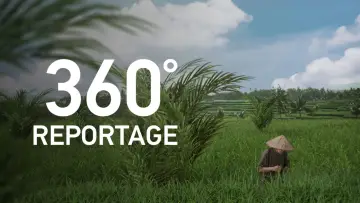 Задник к сериалу "ARTE 360° Reportage" #1363194