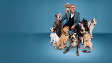 Задник к сериалу "Dogs Behaving (Very) Badly" #1512734