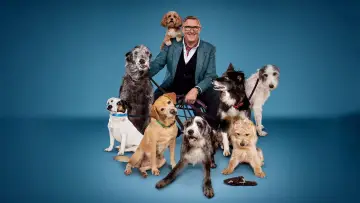 Задник к сериалу "Dogs Behaving (Very) Badly" #1512735
