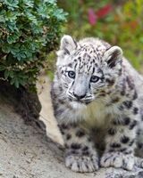 Иван Филатов