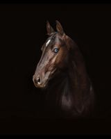 Александра Иванова