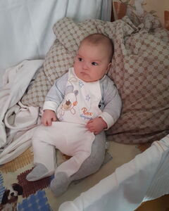 Данила Палехов