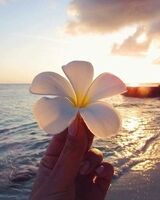 Валерия Ларина